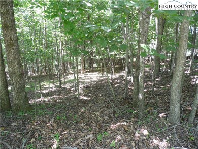 TBD Hickory View Dr unit 34, Sparta, NC 28675 - photo 7