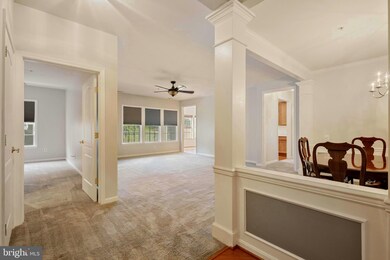 1400 Joppa Forest Dr unit L, Joppa, MD 21085 - photo 4