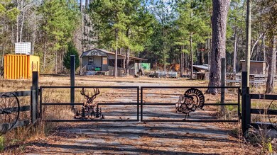 705 Catclaw Rd, Andrews, SC 29510 - photo 6