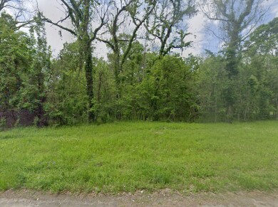 0 County Road 2909 unit Cleveland TX 77327, Cleveland, TX 77328 - photo 3