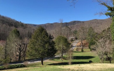Additional View