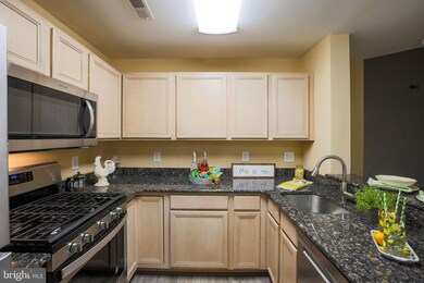 4 Tyler Falls Ct unit B, Baltimore, MD 21209 - photo 3