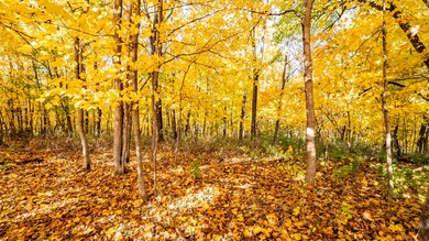 +/-46 Acres Bee Ln, Lancaster, WI 53813 - photo 6