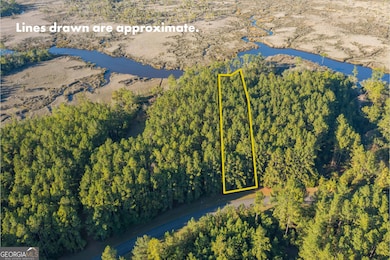 LOT 116 La Mare Ln, Waverly, GA 31565 - photo 4