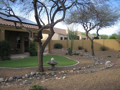 Backyard 3