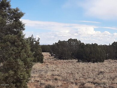 Land has trees and open spaces