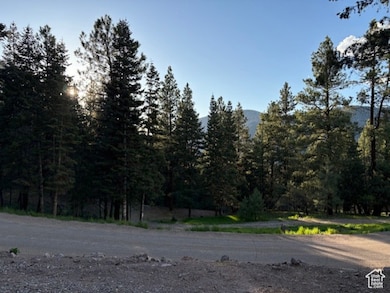 View of asphalt road featuring a forest view