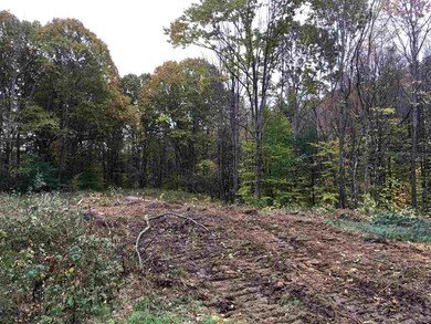 9 Wyman Ln unit 1, Strafford, NH 03884 - photo 6