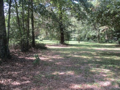 4125 Centerville Rd, Magnolia, MS 39652 - photo 4