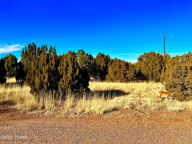8789 Bruce Cir, Show Low, AZ 85901 - photo 6