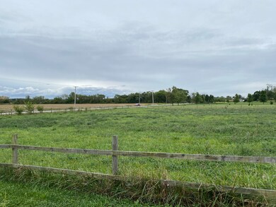 28954 S Yates Ave, Beecher, IL 60401 - photo 6