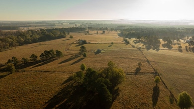 00 Vaughan Ln, Morton, MS 39117 - photo 2