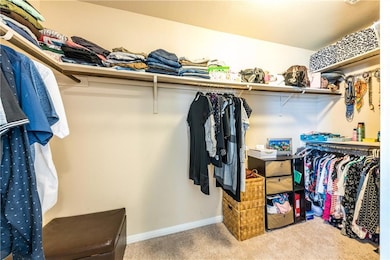 Spacious closet featuring carpet