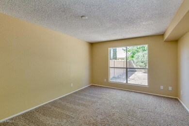 3710 W Ivanhoe St, Chandler, AZ 85226 - photo 6