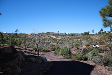 6250 Bull Elk Run unit 314, Show Low, AZ 85901 - photo 5
