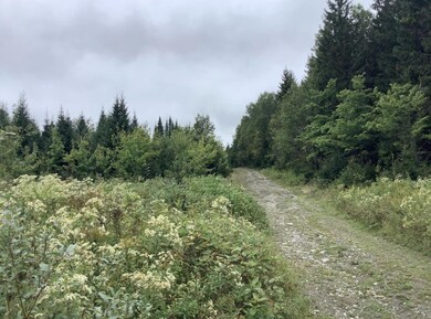 3 Abel Cyr Rd, Hamlin, ME 04785 - photo 2