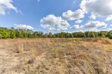 71 Road 5260, Cleveland, TX 77327 - photo 6