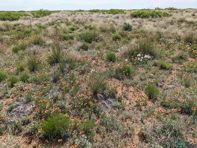 0 Llauds Rd, Roswell, NM 88201 - photo 6