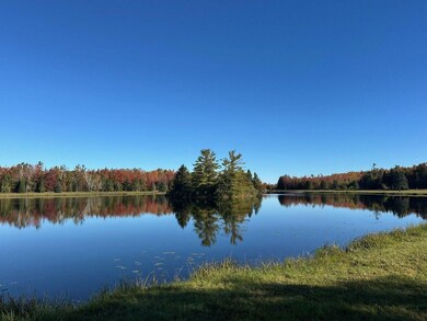 4393 Grossman Rd, Rogers City, MI 49779 - photo 4