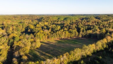 0 Sawyers Cove Rd unit 25373983, Calera, AL 35040 - photo 4