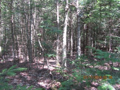 3 Roque Bluffs Rd, Roque Bluffs, ME 04654 - photo 3