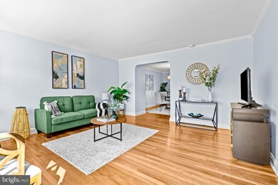 959 Radcliffe Rd, Towson, MD 21204 - photo 7