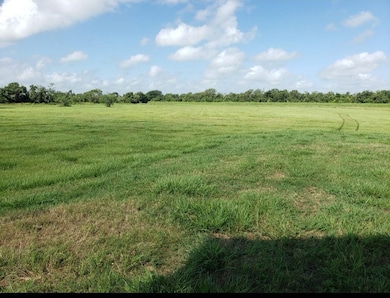 169 Timberline Dr, Bay City, TX 77414 - photo 2