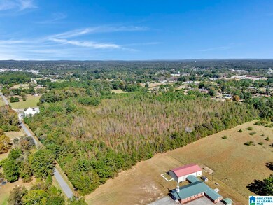 0 Hopewell Dr unit 21433405, Clanton, AL 35045 - photo 4