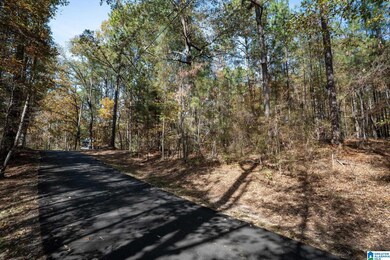284 Nichols Rd, Chelsea, AL 35043 - photo 6