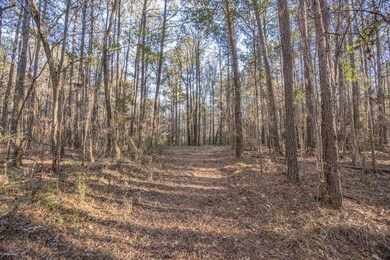 0 La Hwy 967 unit 22338509, Saint Francisville, LA 70775 - photo 2