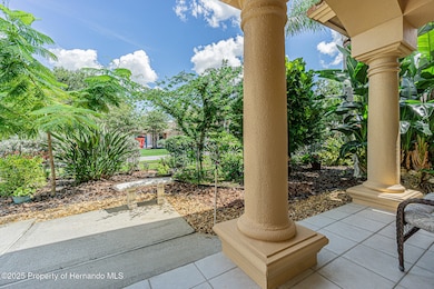 3550 Justin Dr, Palm Harbor, FL 34685 - photo 6