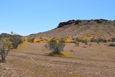 0 Ptn Se 1 4 Sec6 T9 R12 unit 19003914, Rosamond, CA 93560 - photo 4