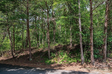 Lot 26 Line Dr, Forest City, NC 28043 - photo 2