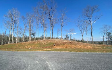 Additional View