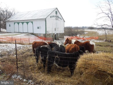 1123C Jefferson Pike, Knoxville, MD 21758 - photo 4