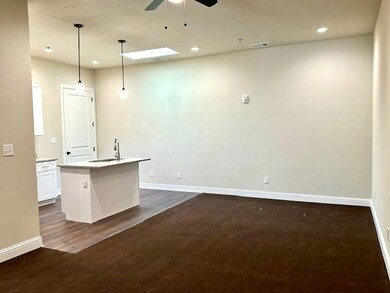 226 W Main St unit 201, Denison, TX 75020 - photo 2