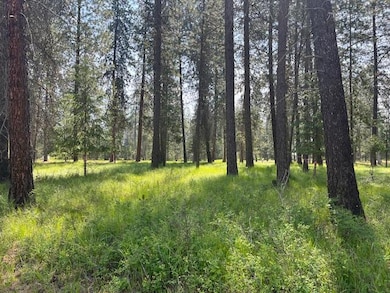 203 Eagle Dr, Chewelah, WA 99109 - photo 3