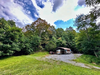 TBD Stoney Ridge Ln, Tazewell, VA 24605 - photo 3