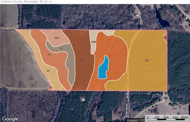 85  ac County Road 291, Water Valley, MS 38915 - photo 4