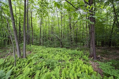 25 Barrel Rd, Westminster, MA 01473 - photo 3