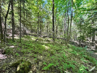 Lot 87 Langway Rd, Lyman, NH 03585 - photo 6