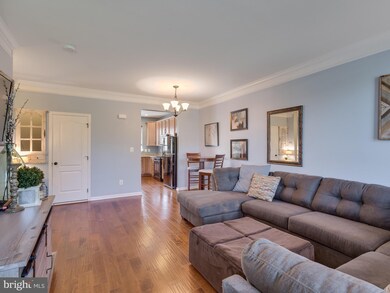 42800 San Sebastian Terrace, Chantilly, VA 20152 - photo 7