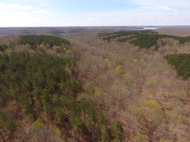 0 Mathis Cemetery Rd unit 2170394, Stewart, TN 37175 - photo 7