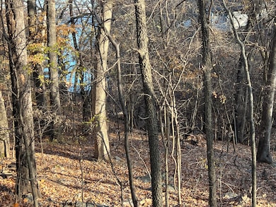 0 Vinita Cir unit 24-1384, Monkey Island, OK 74331 - photo 3