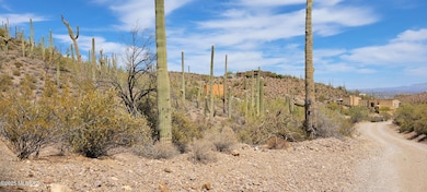 4790 N El Adobe Ranch Rd, Tucson, AZ 85745 - photo 6