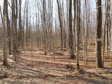 0 Sugar Maple Trail, Corwith Township, MI 49795 - photo 4