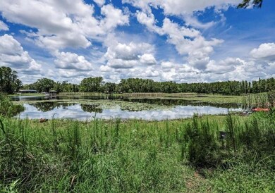 4635 Cobb Rd, Land O' Lakes, FL 34638 - photo 3