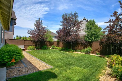 05 Back yard 21400 Evelyn Pl