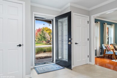 960 Eddystone Cir, Naperville, IL 60565 - photo 4