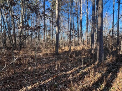 ON Heart Lake Rd, Conover, WI 54519 - photo 4